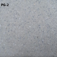 Baldosa Granito de Mármol Gris GP-2